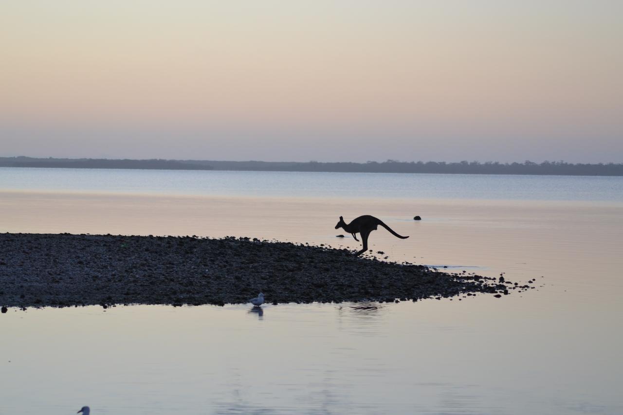 موتيل Raymond Island ذا آبي المظهر الخارجي الصورة